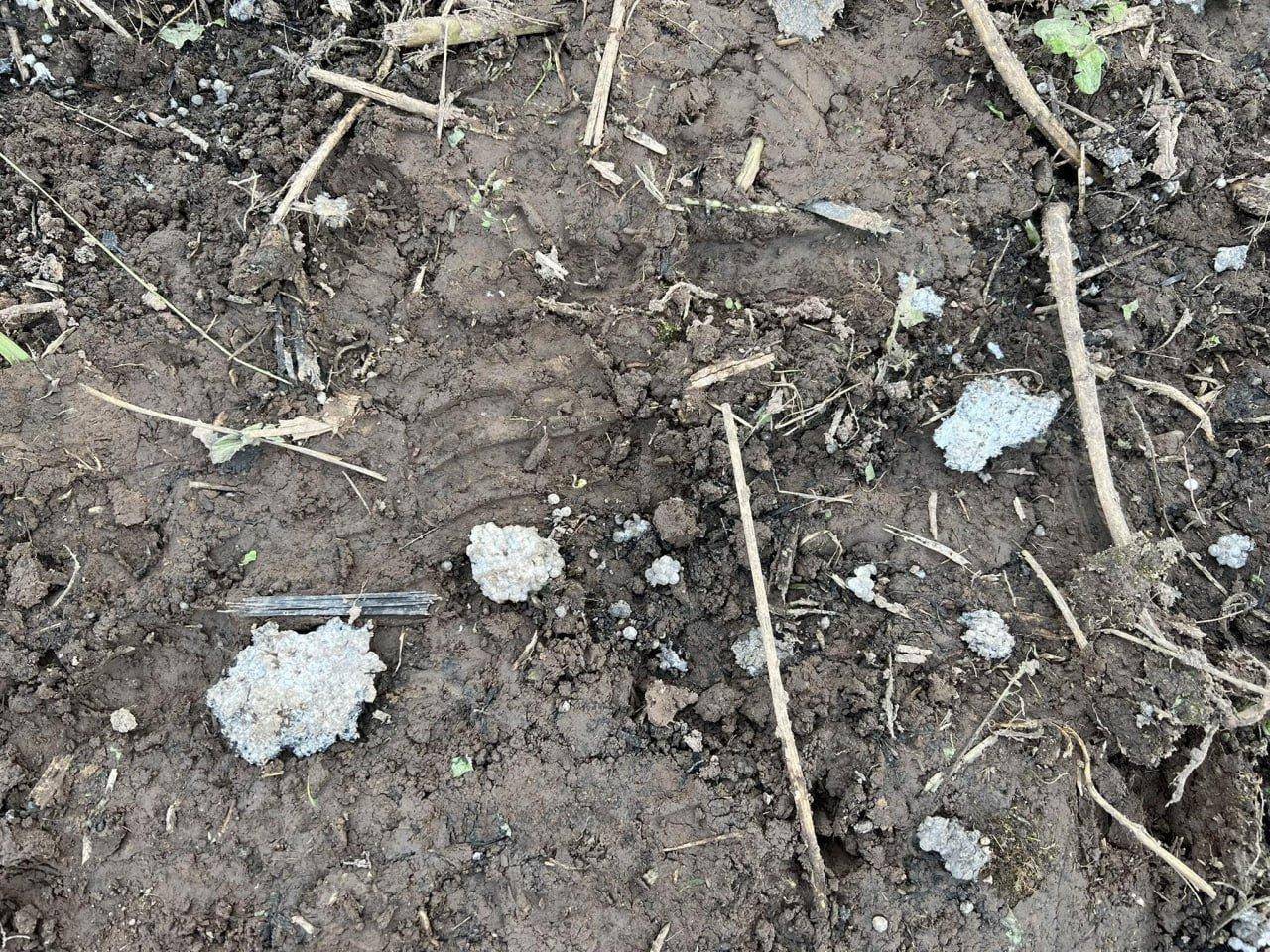 巴勒莫vs弗洛西诺尼_从北约领空发射？台湾省制无人机在乌克兰参战巴勒莫vs弗洛西诺尼，被俄军击落1000架