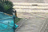 纳什维尔vs亚特兰大联_女子与妹妹因清理狗屎发生争执纳什维尔vs亚特兰大联，将2只狗从21楼扔下摔死，狗买回不到一个月，最小1斤重